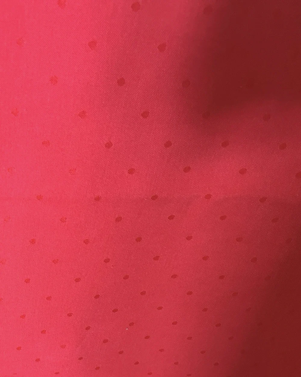 KATE SPADE New York Larabee Dot TABLECLOTH RED/Cranberry Oblong 102